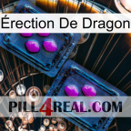 Érection De Dragon 03